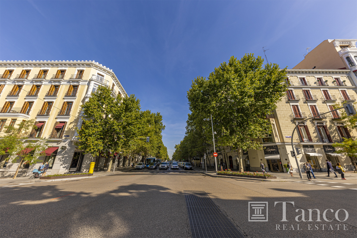 Gran propiedad en Barrio de Salamanca